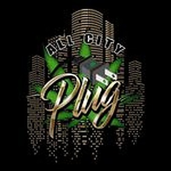 All City Plug - Spencer logo