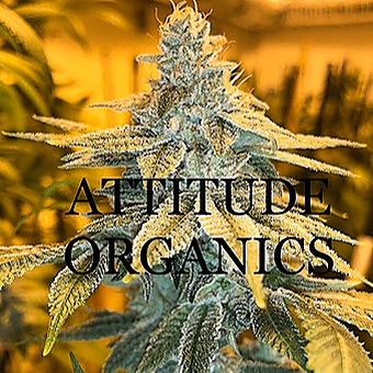 Attitude Organics logo