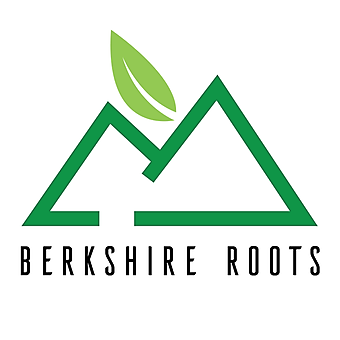 Berkshire Roots - Pittsfield (Rec) logo