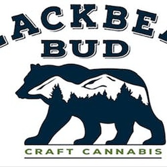 Black Bear Bud logo