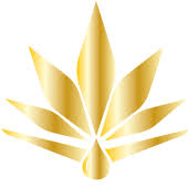 Bloom & Blaze logo