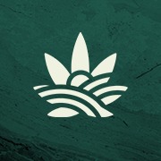 Bloomery Cannabis - New Buffalo logo
