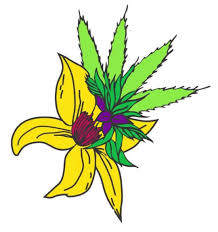 Blooming Buds Dispensary