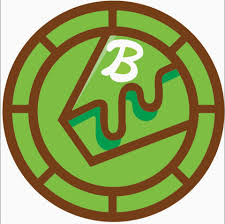 Brownies - Schuylerville