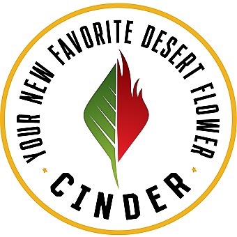 Cinder - 3rd St logo