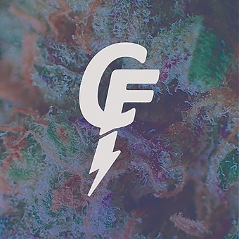 Cloud Family Delivery logo