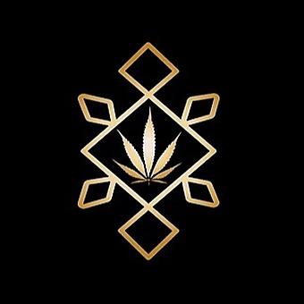 Dancing Turtle Greenery - West logo