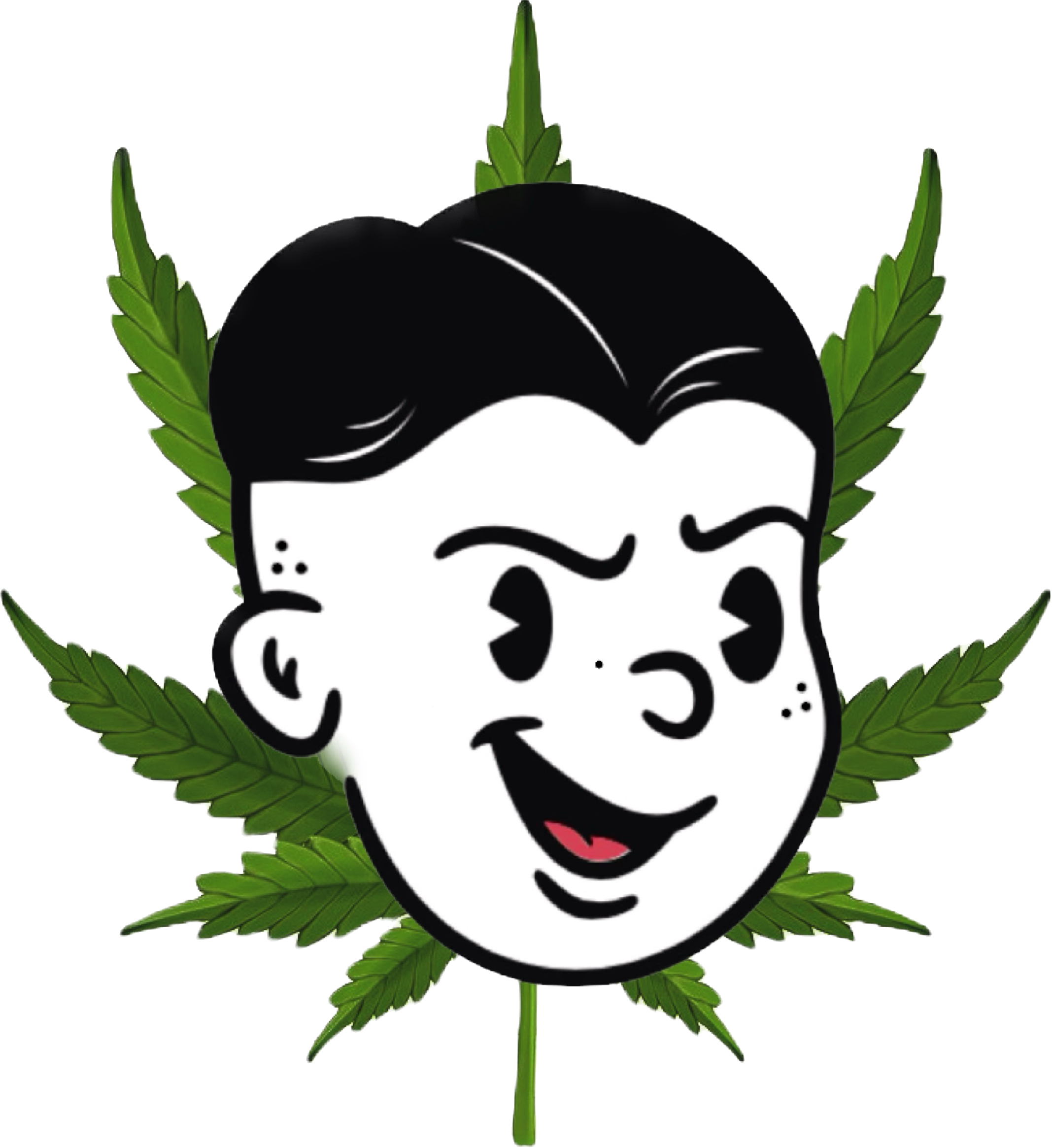 Danny Boys Hemp Co logo