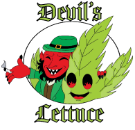 Devil's Lettuce