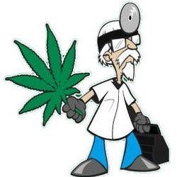 Doctors Orders - Stem Beach logo