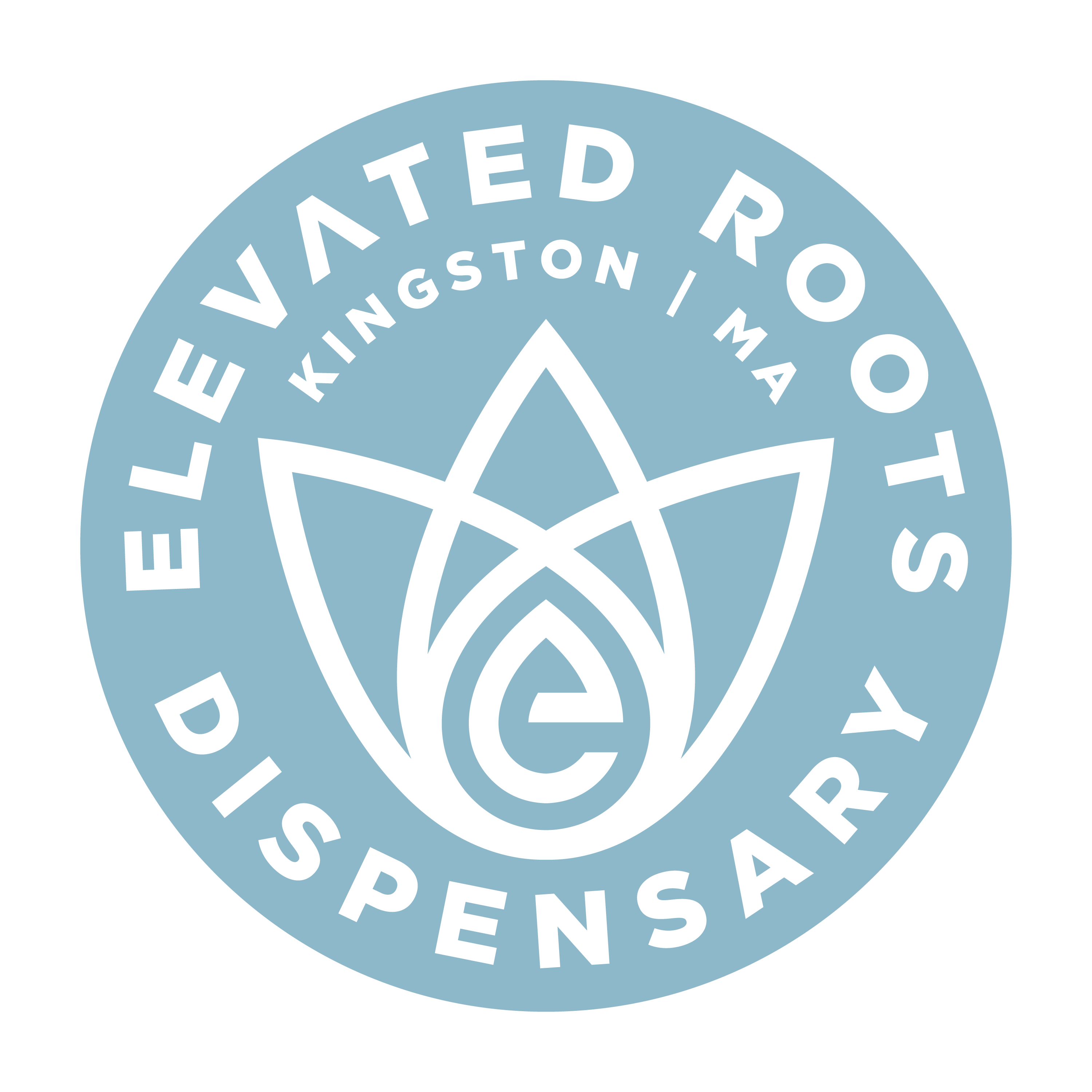 Elevated Roots - Kingston logo