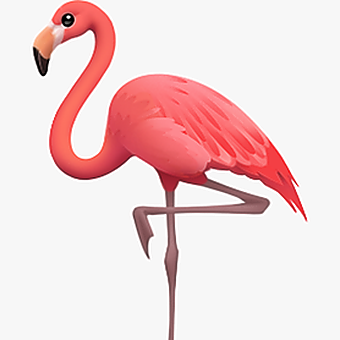 Faded Flamingo LLC logo