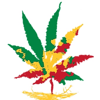 Going Green - Albany