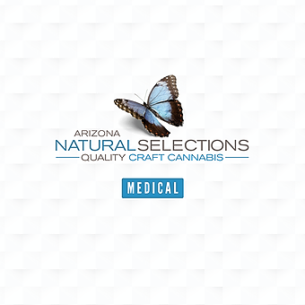 Harvest - Scottsdale - Natural Selections logo