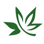 Hi-Roots Cannabis Co - OKC logo