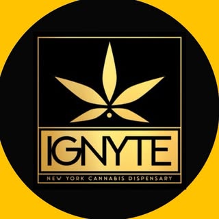 IGNYTE - Brooklyn