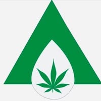 L1f3 Experience (MED) logo