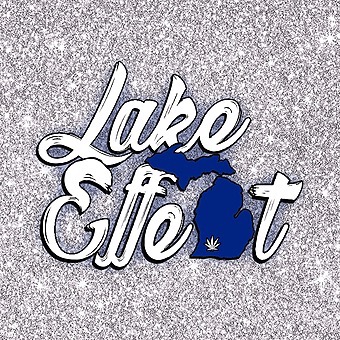 Lake Effect - Portage (Med) logo