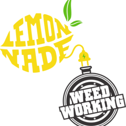 Lemonnade - Van Nuys logo