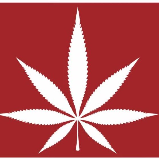 Medicated Dispensary logo