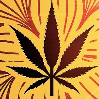 No Worries Dispensary logo