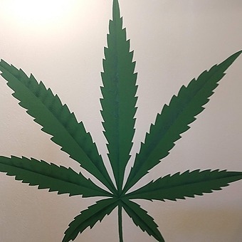 Patients Other Treatment logo