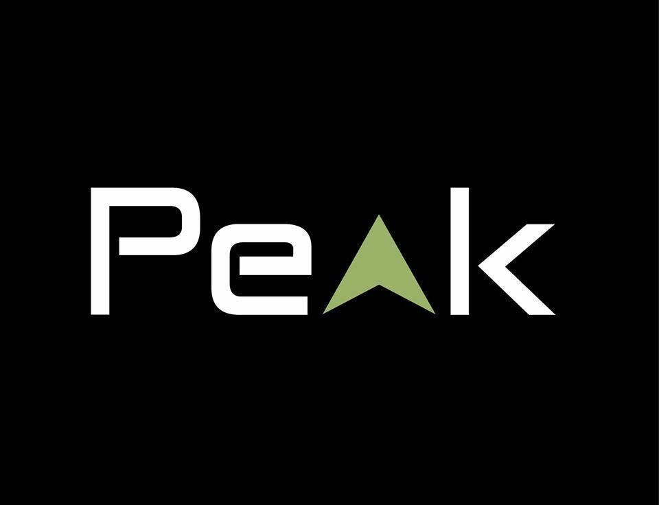 Peak MJ logo