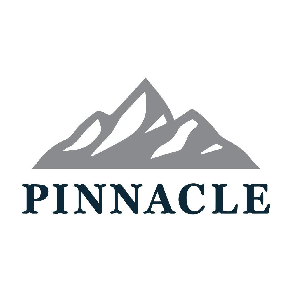 Pinnacle Emporium - Camden logo