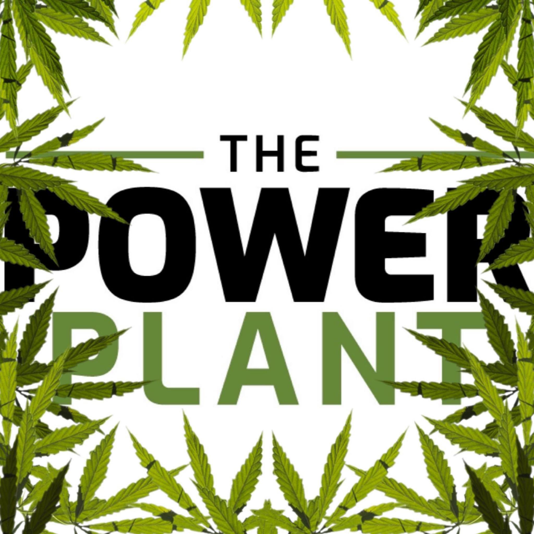 Power Plant - Enid logo