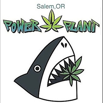 Power Plant - Salem logo