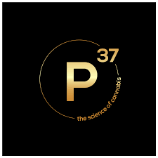 Prohibition 37 - Gallup logo