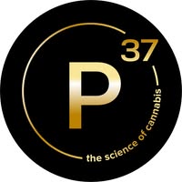 Prohibition 37 - Sunland Park