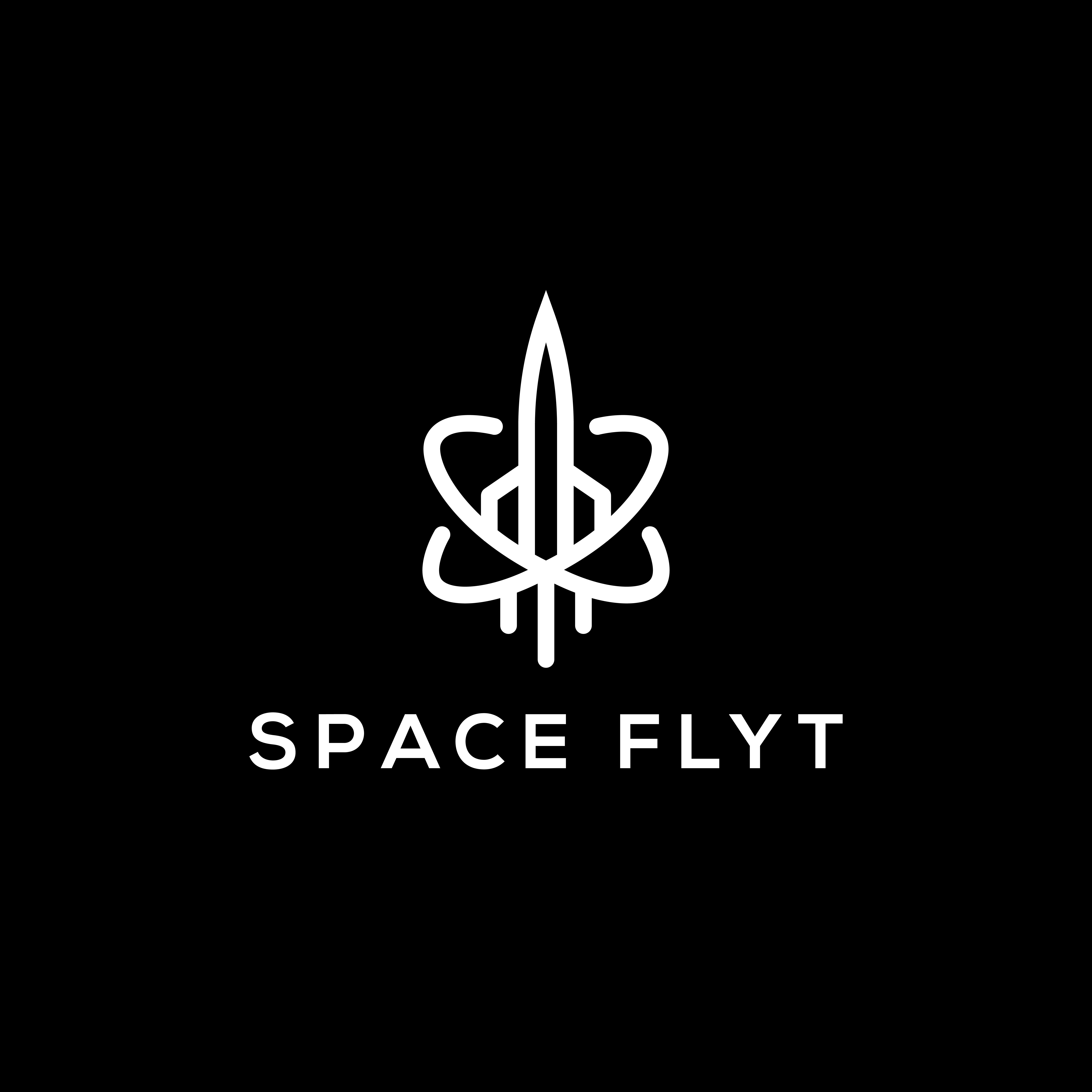Space Flyt - Culver City