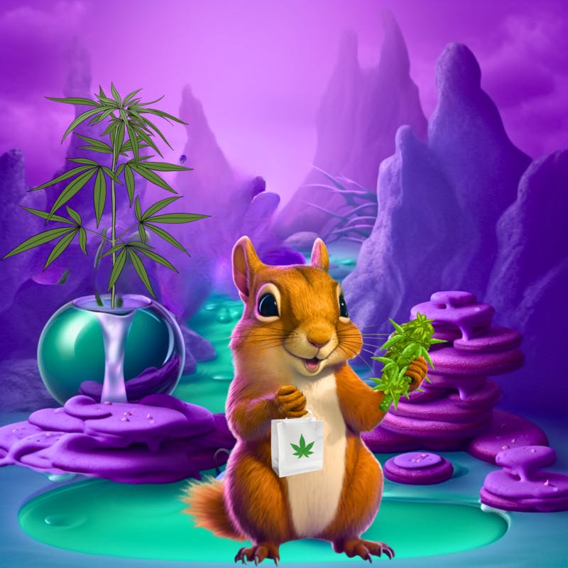 Speedy Weedy - Santa Ana logo