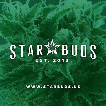 Star Buds - Bethany logo