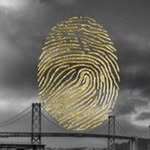 Sticky Thumb Delivery - Express Peninsula San Mateo County logo