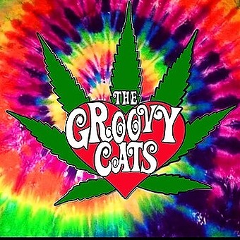 The Groovy Cats Dispensary logo