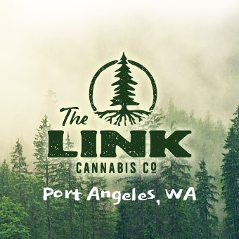 The Link - Port Angeles logo