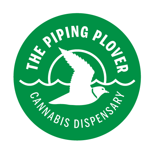 The Piping Plover logo
