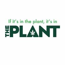 The Plant