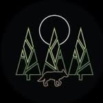 The Woods - Whitehall