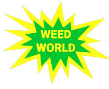 Weed World Dispensary logo