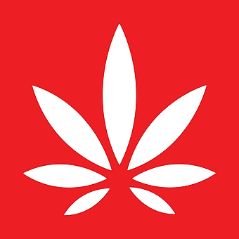Willamette Valley Cannabis logo