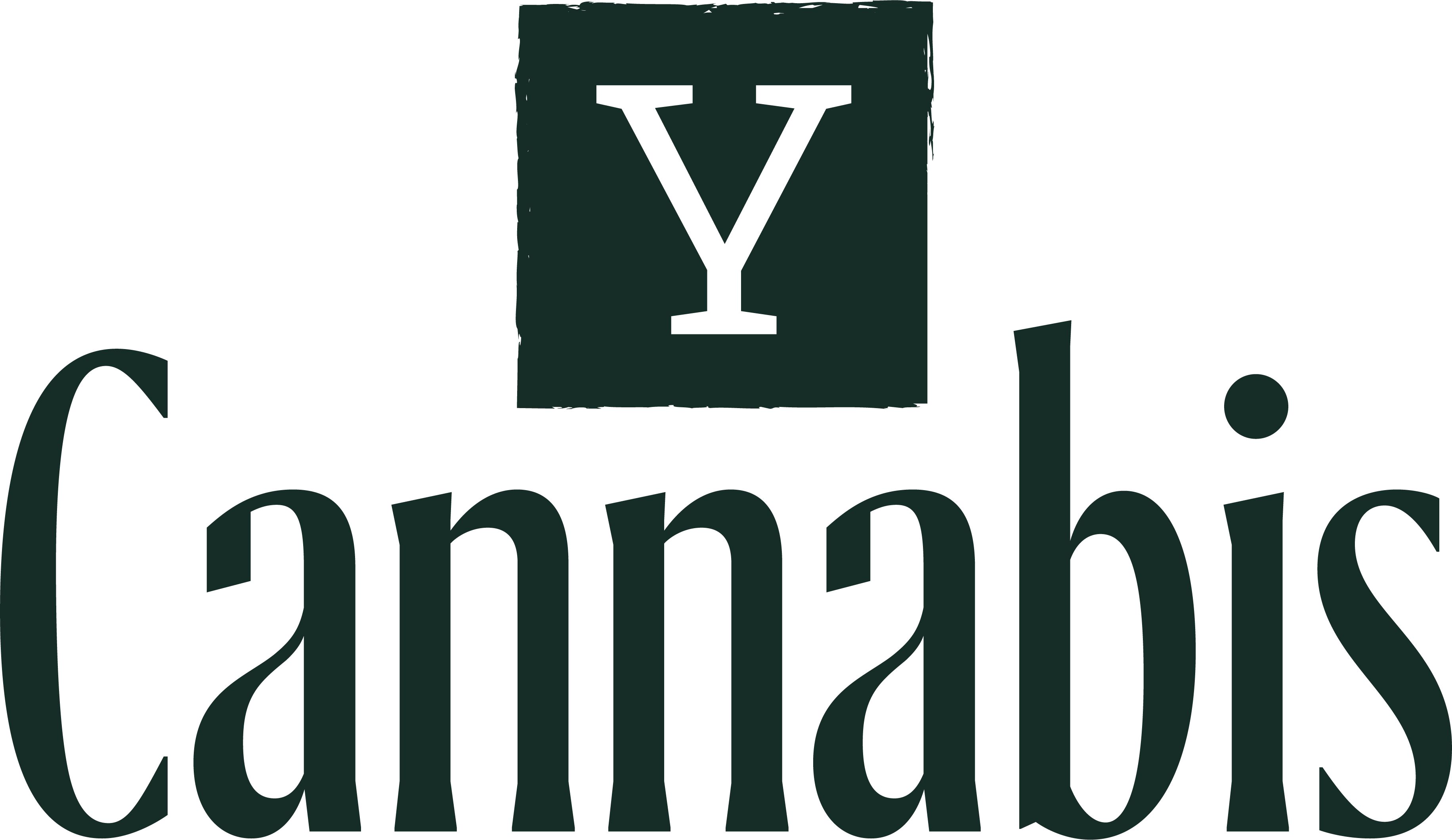 Y Cannabis - Taunton
