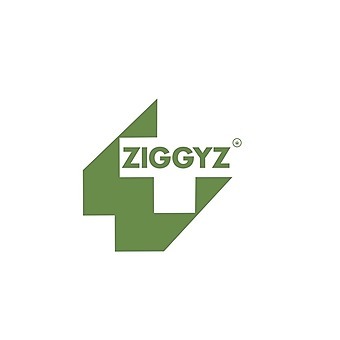 Ziggyz Plus - Edmond logo